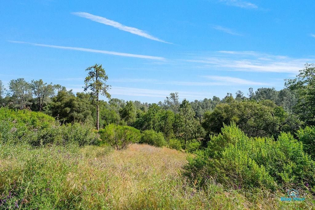 Detail Gallery Image 12 of 25 For 0 Top Hand Court - Vacant Land, Placerville,  CA 95667 - – Beds | – Baths