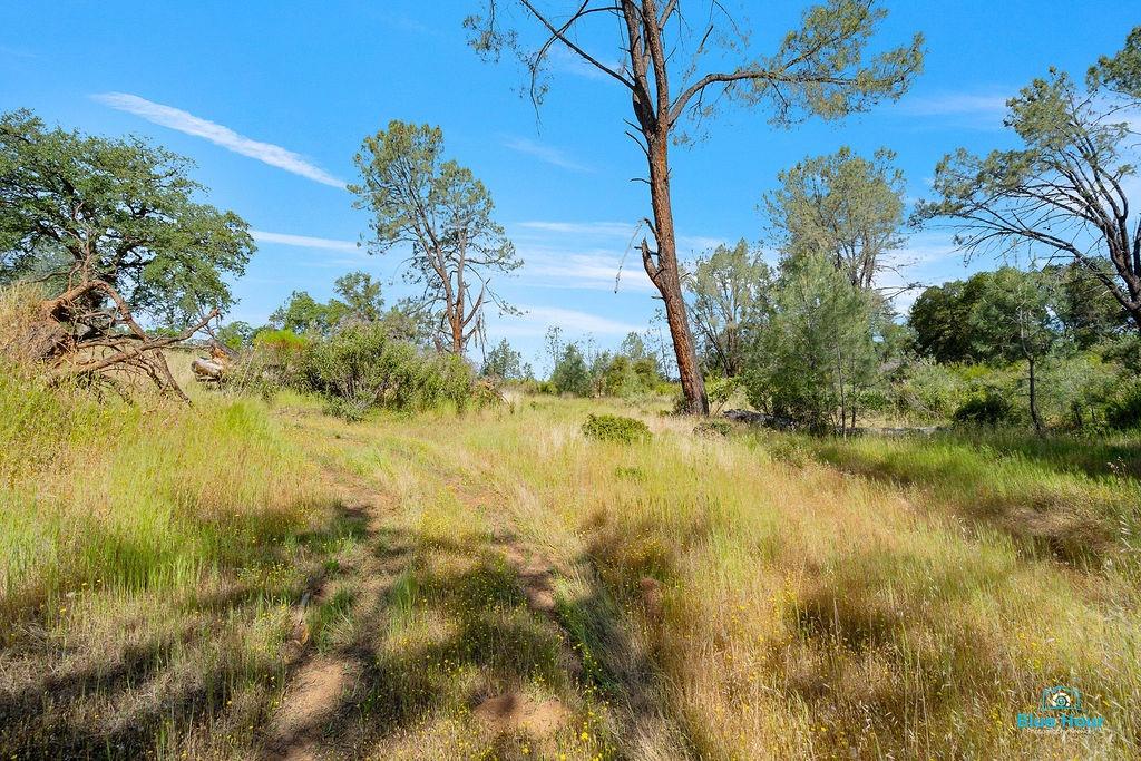 Detail Gallery Image 10 of 25 For 0 Top Hand Court - Vacant Land, Placerville,  CA 95667 - – Beds | – Baths