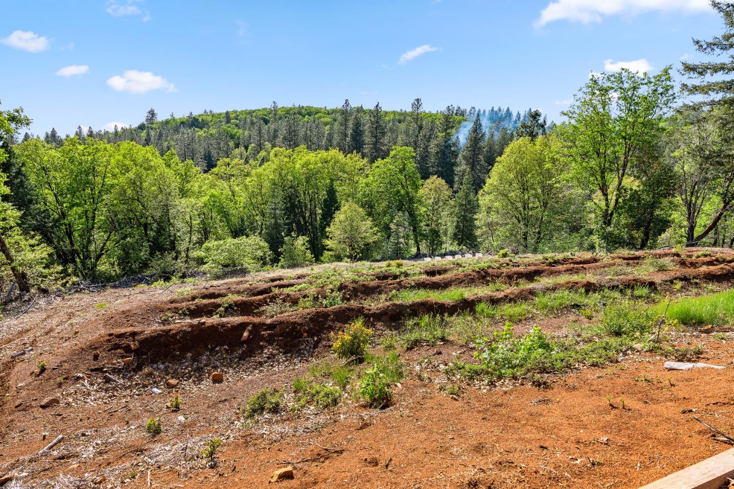 Detail Gallery Image 73 of 82 For 19803 Cooper Road, Nevada City,  CA 95959 - 2 Beds | 2 Baths