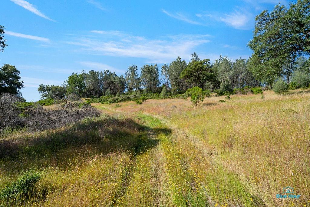 Detail Gallery Image 7 of 25 For 0 Top Hand Court - Vacant Land, Placerville,  CA 95667 - – Beds | – Baths