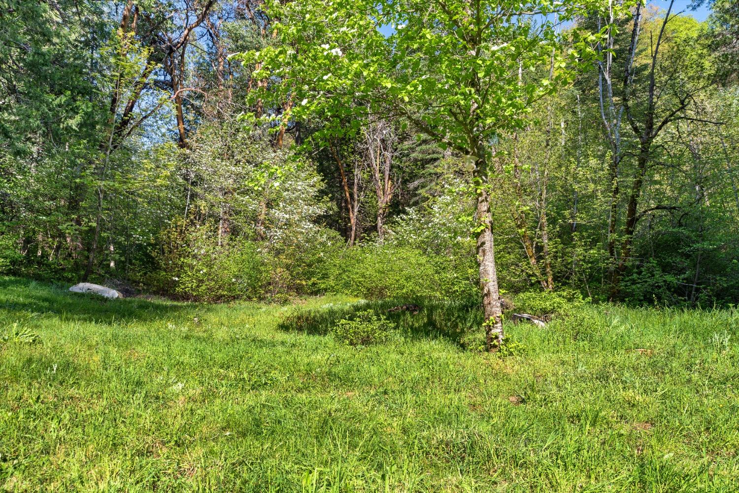 Detail Gallery Image 71 of 82 For 19803 Cooper Road, Nevada City,  CA 95959 - 1 Beds | 2 Baths