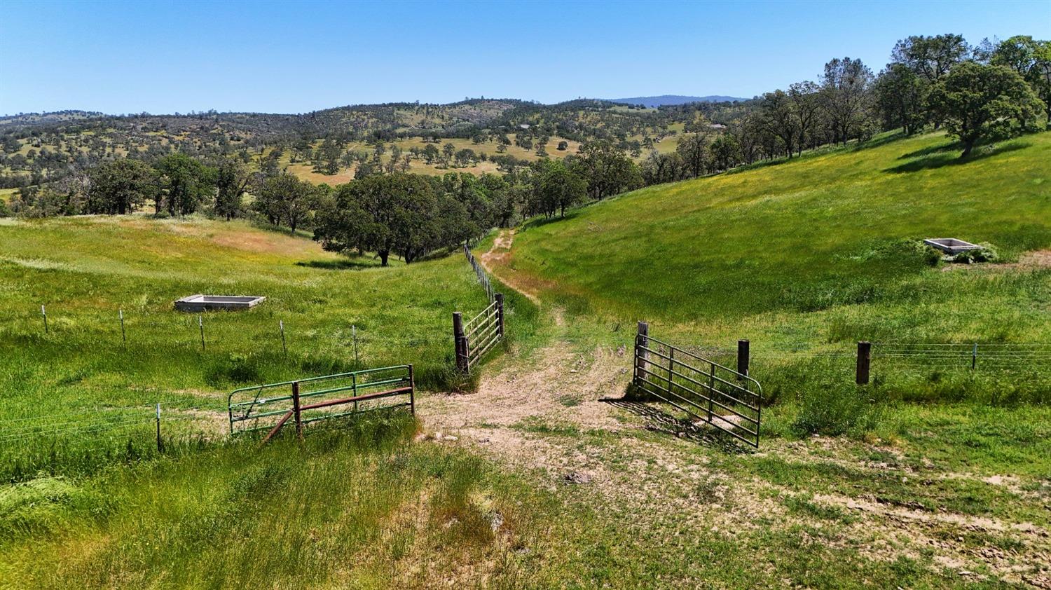 Detail Gallery Image 8 of 66 For 15250 Lanford Pacheco Rd, Valley Springs,  CA 95252 - 3 Beds | 2/1 Baths