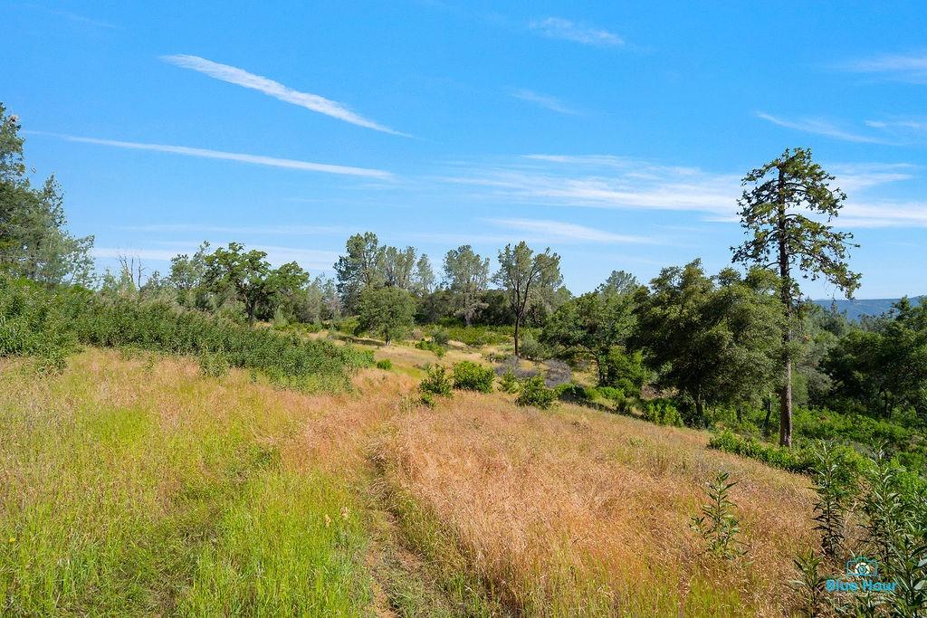 Detail Gallery Image 8 of 25 For 0 Top Hand Court - Vacant Land, Placerville,  CA 95667 - – Beds | – Baths