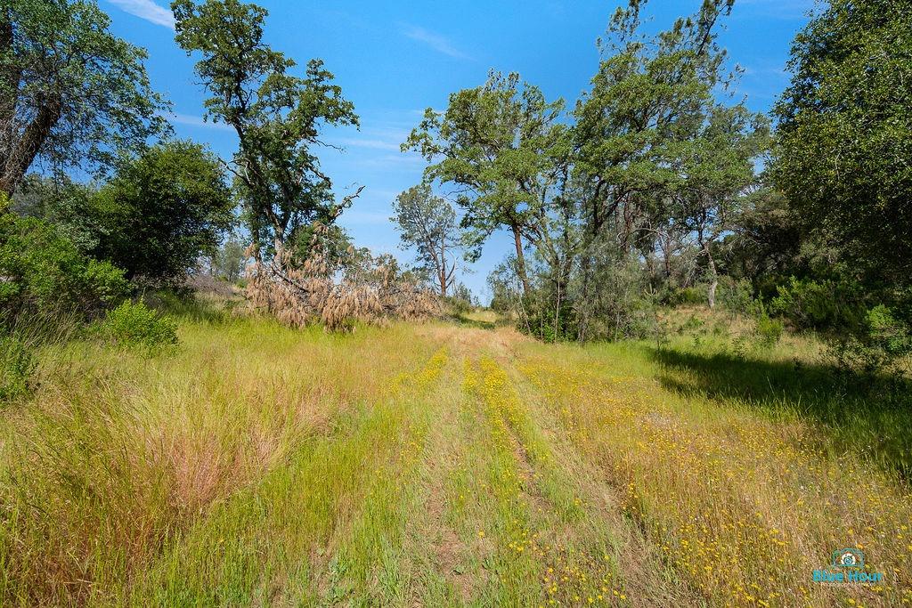 Detail Gallery Image 16 of 25 For 0 Top Hand Court - Vacant Land, Placerville,  CA 95667 - – Beds | – Baths