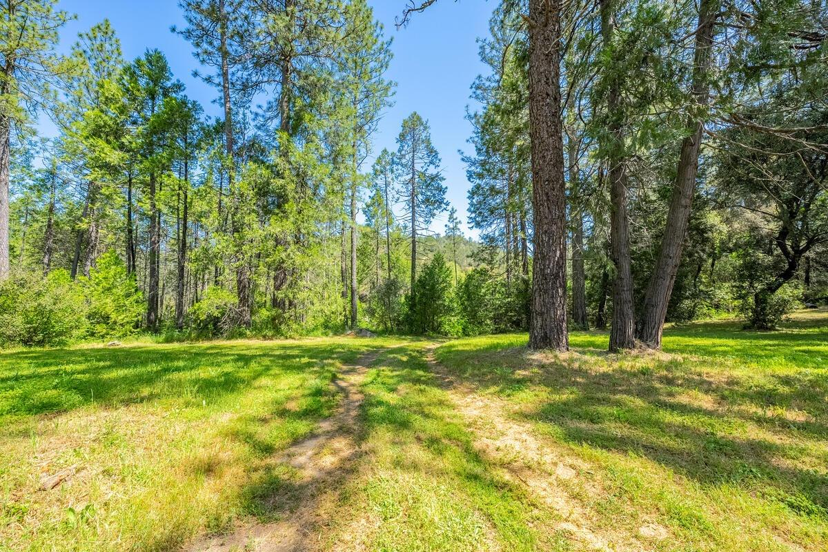 Detail Gallery Image 66 of 76 For 7903 Mount Aukum Rd, Somerset,  CA 95684 - 3 Beds | 2/1 Baths