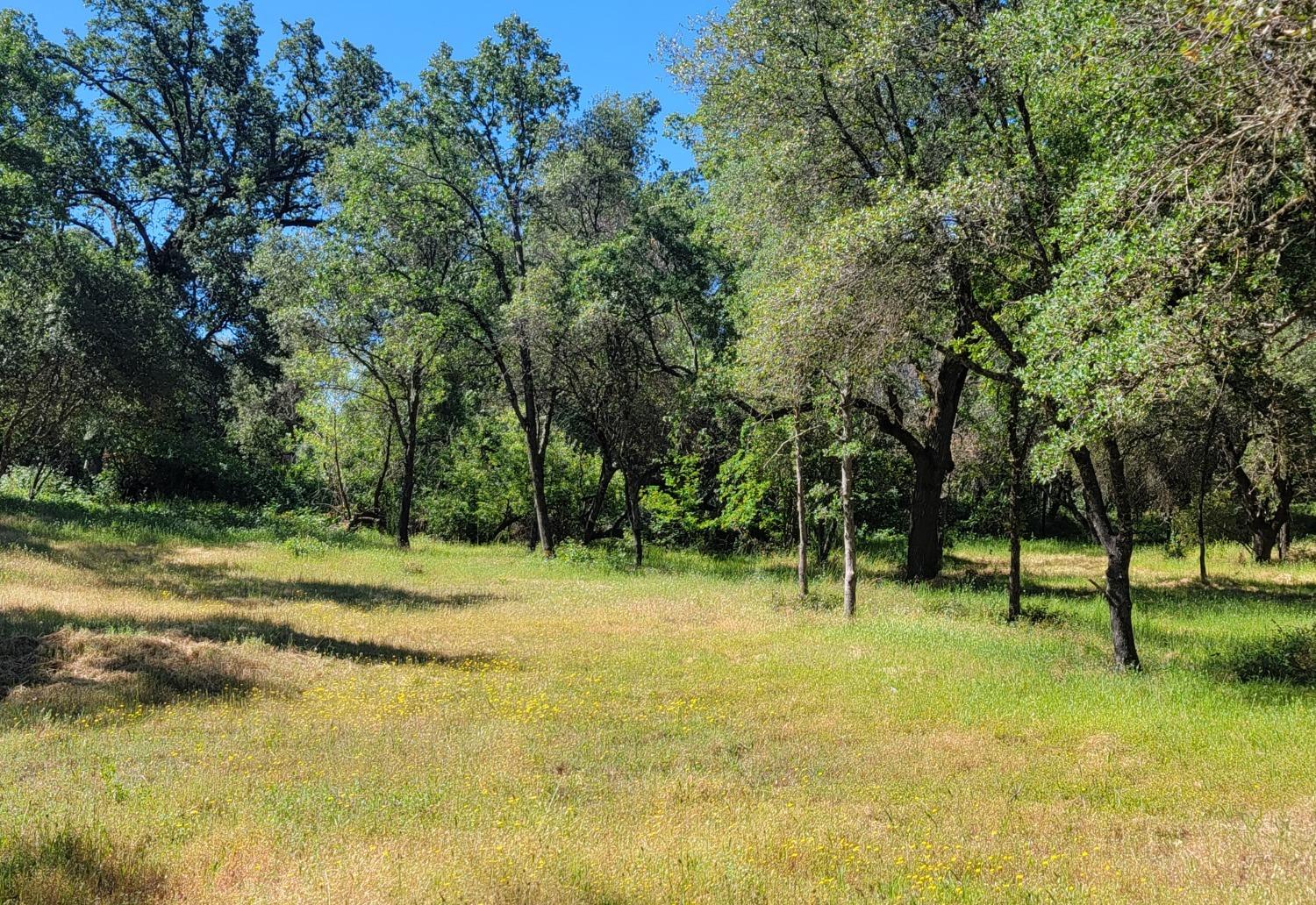 Detail Gallery Image 1 of 6 For 3 Angel Ln, Placerville,  CA 95667 - – Beds | – Baths