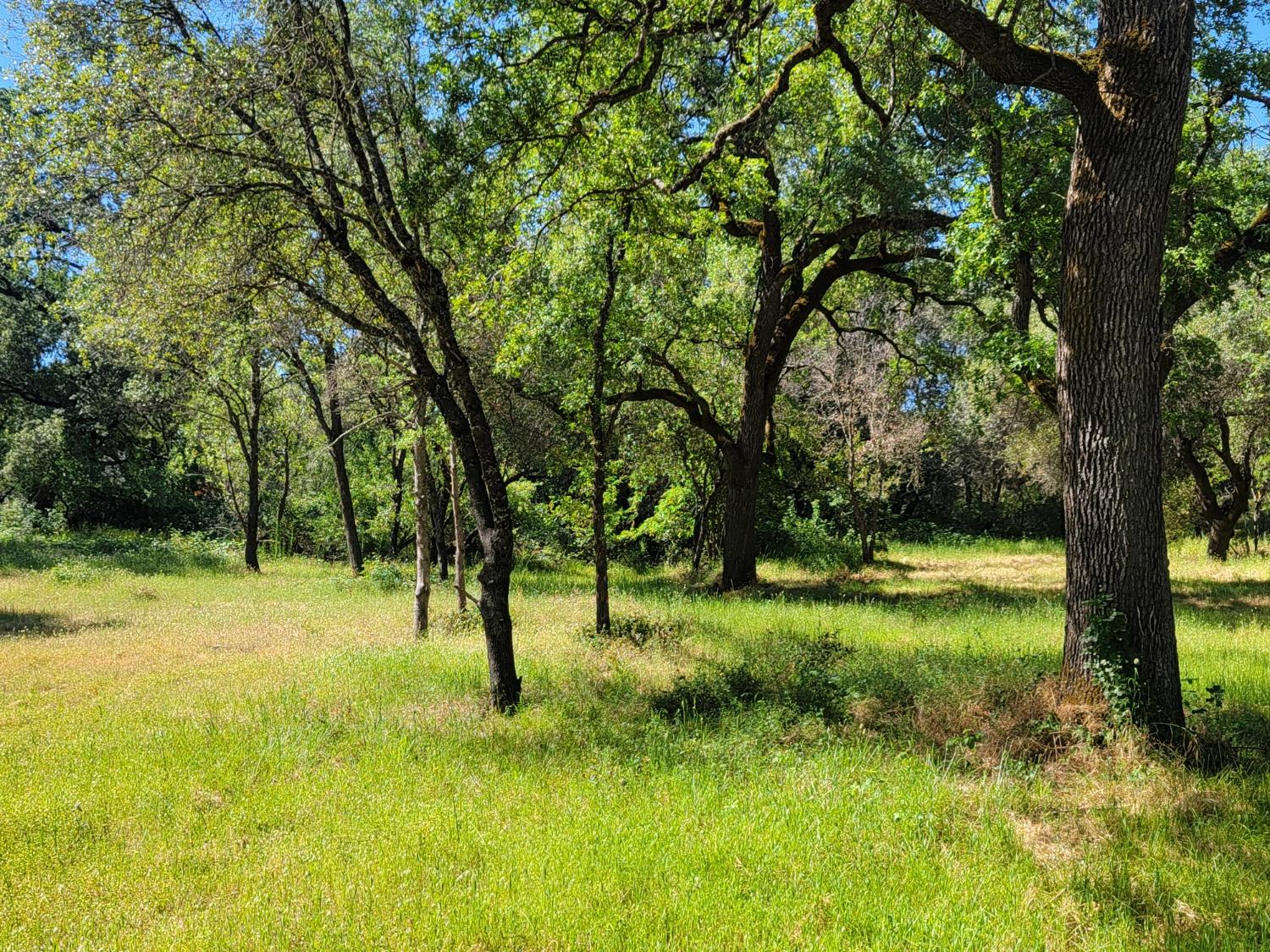 Detail Gallery Image 2 of 6 For 3 Angel Ln, Placerville,  CA 95667 - – Beds | – Baths