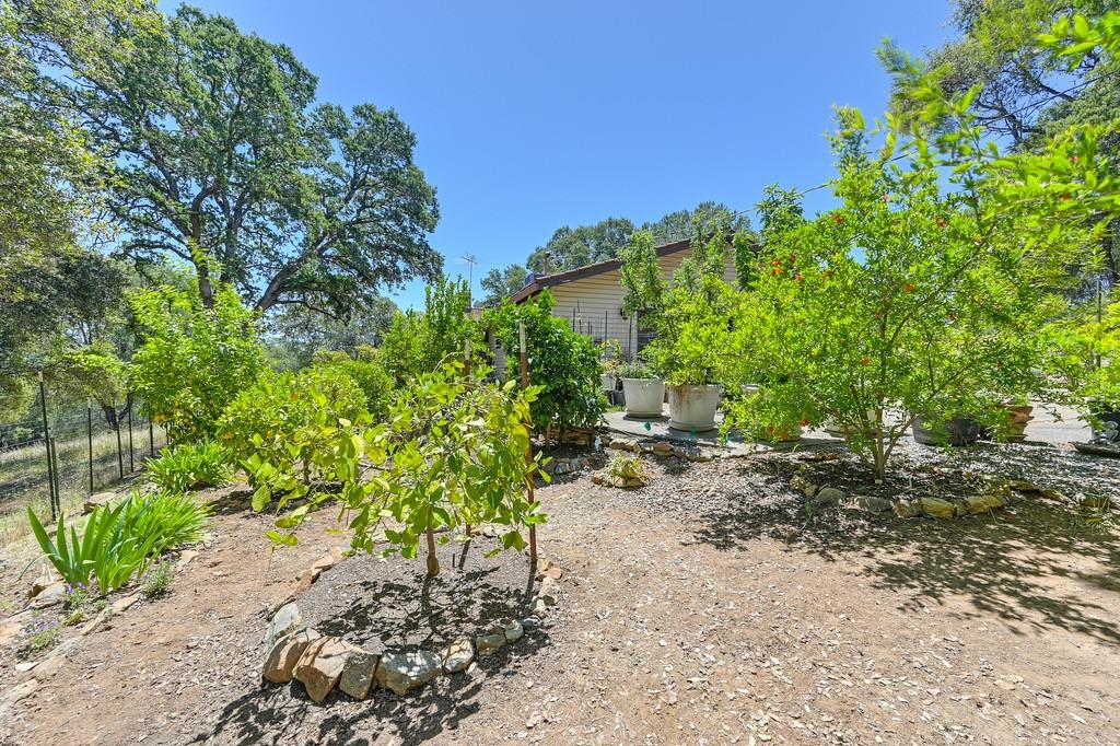 Detail Gallery Image 4 of 56 For 2050 Deer Valley Rd, Rescue,  CA 95672 - 3 Beds | 2/1 Baths