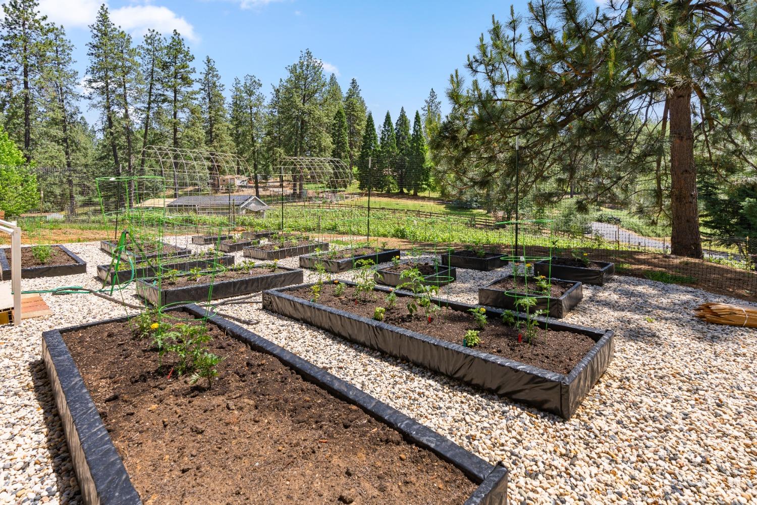 Detail Gallery Image 44 of 57 For 10550 Round Valley Rd, Grass Valley,  CA 95949 - 4 Beds | 3 Baths