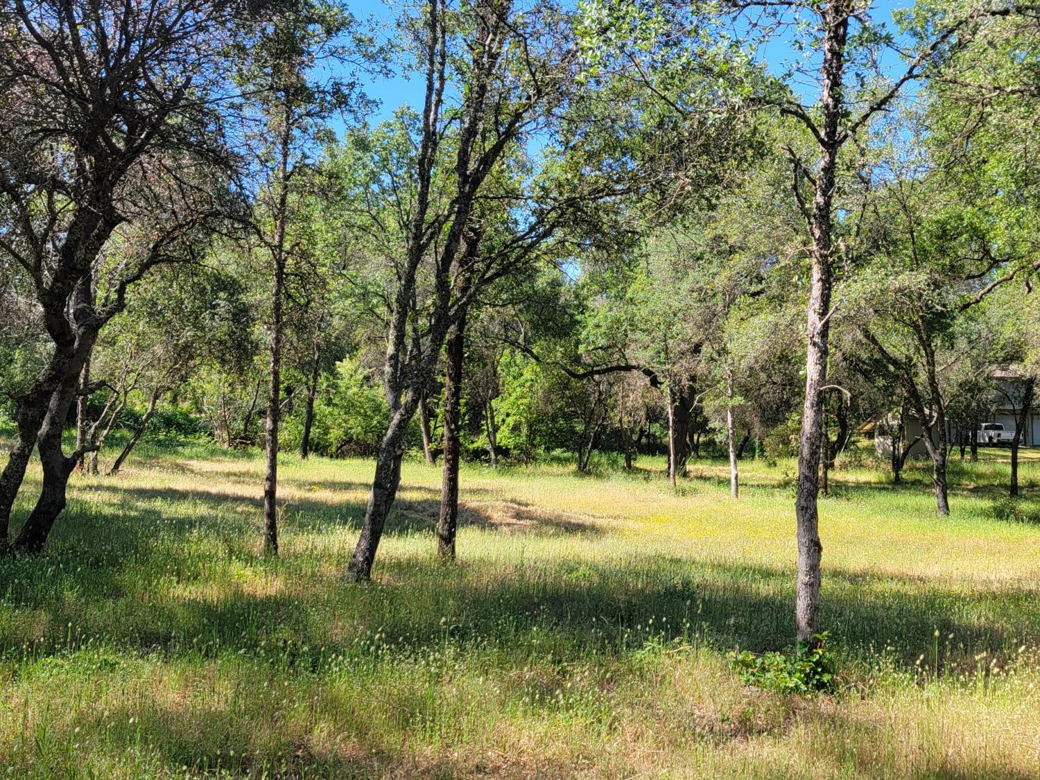 Detail Gallery Image 4 of 6 For 3 Angel Ln, Placerville,  CA 95667 - – Beds | – Baths