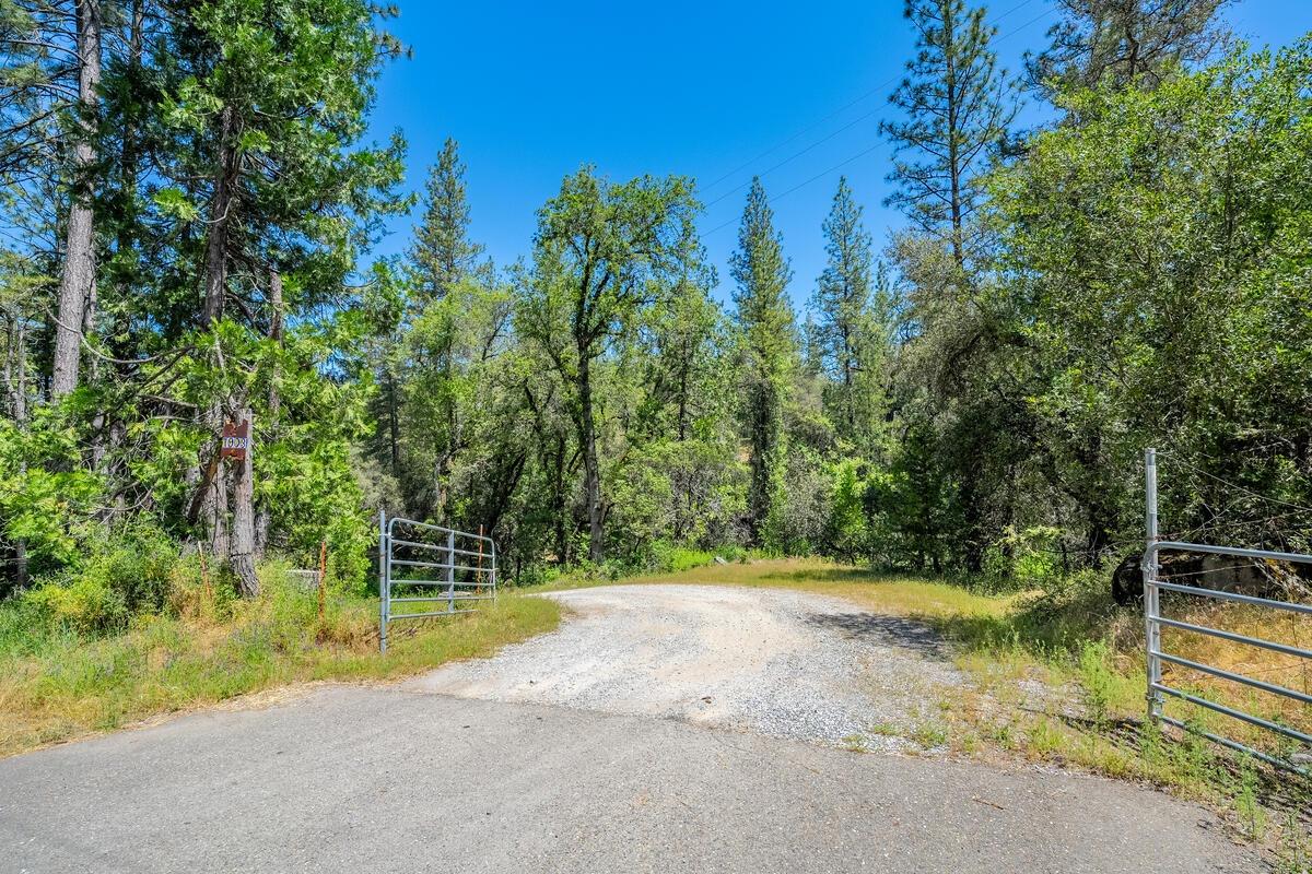 Detail Gallery Image 69 of 76 For 7903 Mount Aukum Rd, Somerset,  CA 95684 - 3 Beds | 2/1 Baths