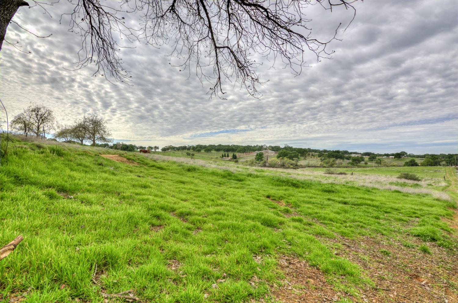 Detail Gallery Image 1 of 1 For 7740 N Forbes Rd, Lincoln,  CA 95648 - – Beds | – Baths