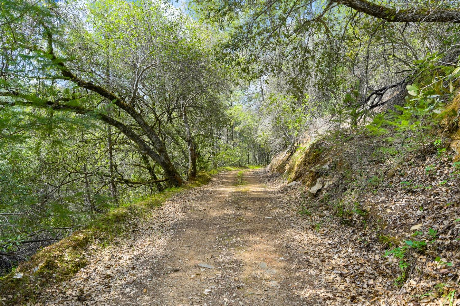 Detail Gallery Image 45 of 69 For 12585 Rock Creek Rd, Placerville,  CA 95667 - 4 Beds | 3 Baths