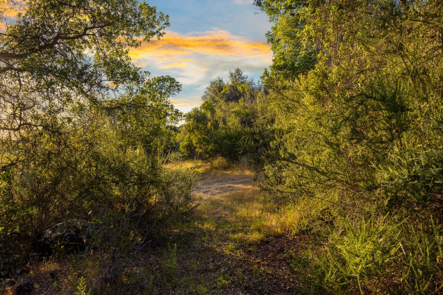 Detail Gallery Image 30 of 48 For 3620 Castlerock Rd, Placerville,  CA 95667 - – Beds | – Baths