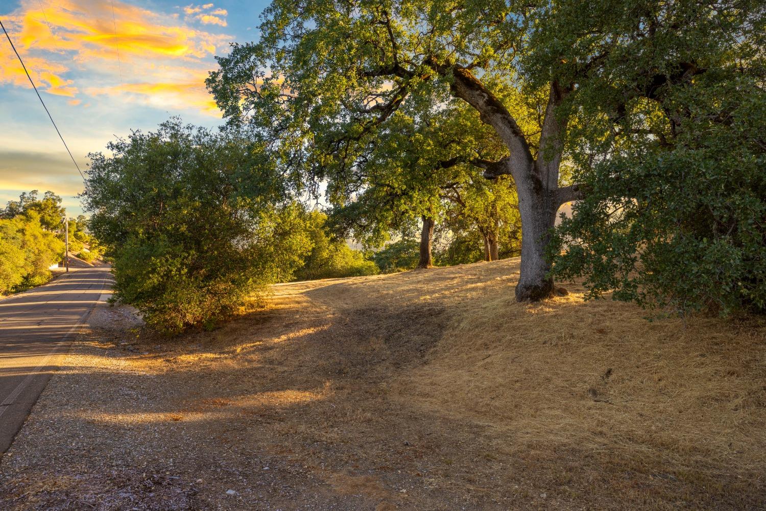 Detail Gallery Image 25 of 48 For 3620 Castlerock Rd, Placerville,  CA 95667 - – Beds | – Baths