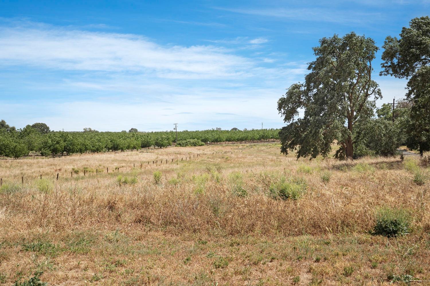 Detail Gallery Image 50 of 51 For 24950 N Mackville Rd, Clements,  CA 95227 - 4 Beds | 3 Baths