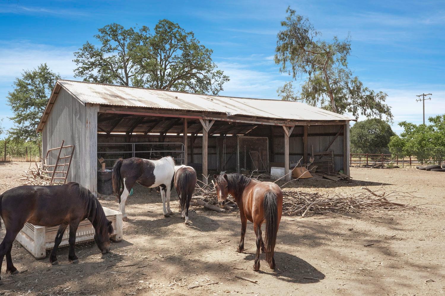 N Mackville Road, Clements, California image 42