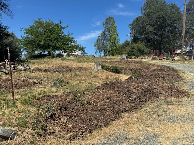 Meadow View Way, Rough and Ready, California image 18