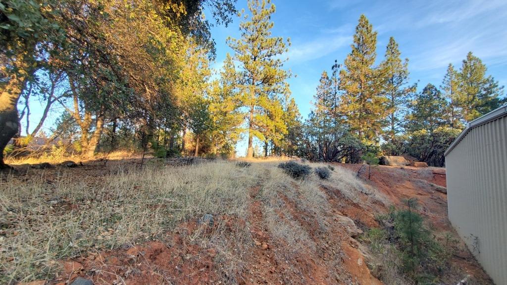 Detail Gallery Image 13 of 28 For 18885 Norlene Way, Grass Valley,  CA 95949 - 0 Beds | 0/1 Baths