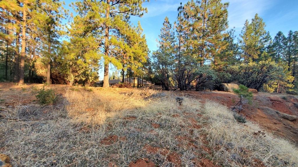 Detail Gallery Image 12 of 28 For 18885 Norlene Way, Grass Valley,  CA 95949 - 0 Beds | 0/1 Baths