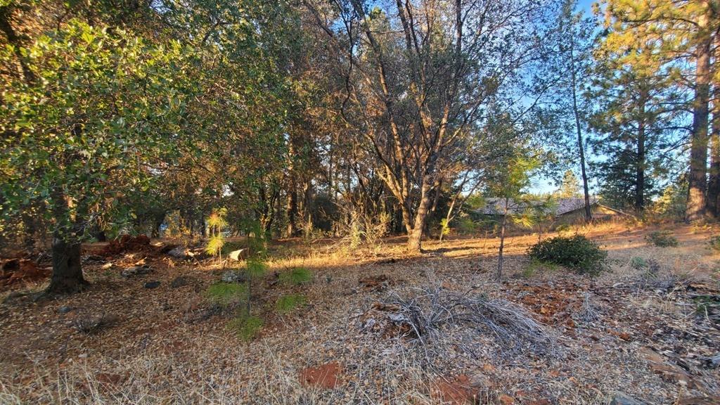 Detail Gallery Image 11 of 28 For 18885 Norlene Way, Grass Valley,  CA 95949 - 0 Beds | 0/1 Baths