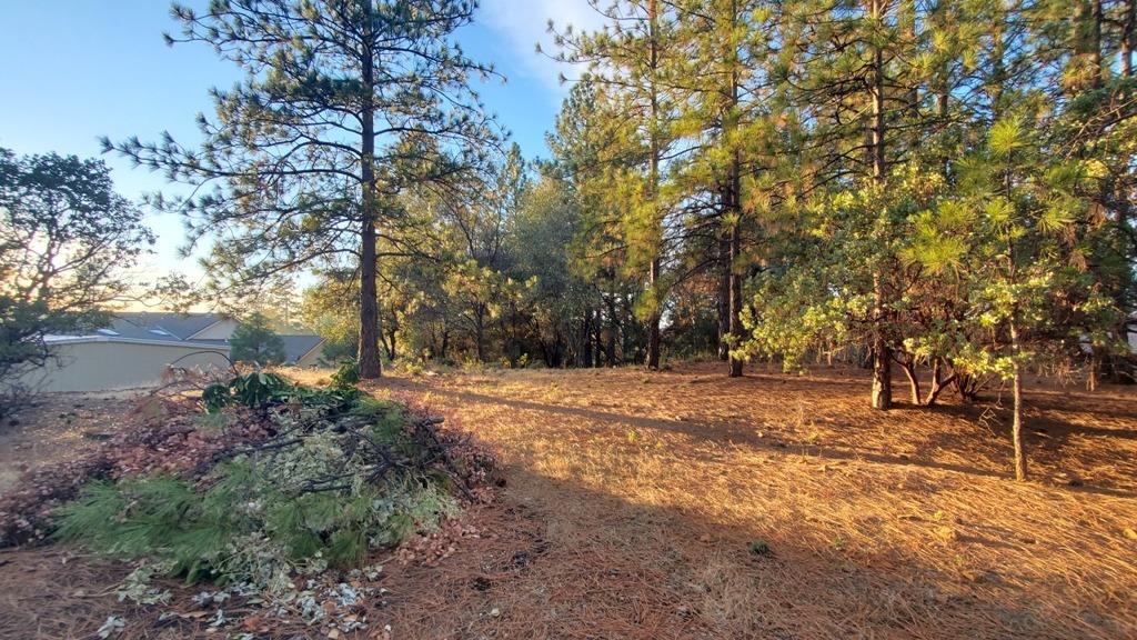 Detail Gallery Image 8 of 28 For 18885 Norlene Way, Grass Valley,  CA 95949 - 0 Beds | 0/1 Baths