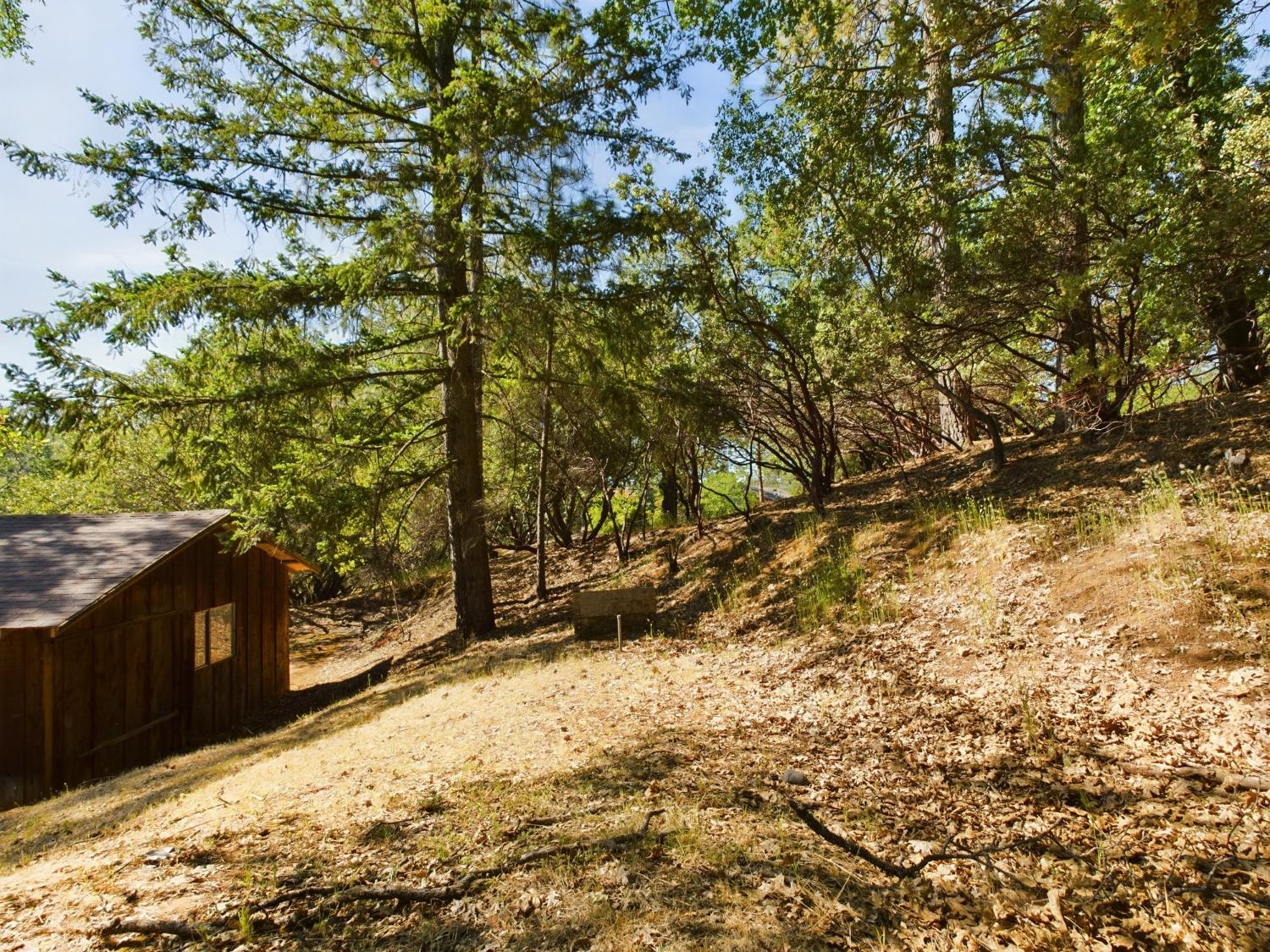 Sweetwater Trail, Cool, California image 19