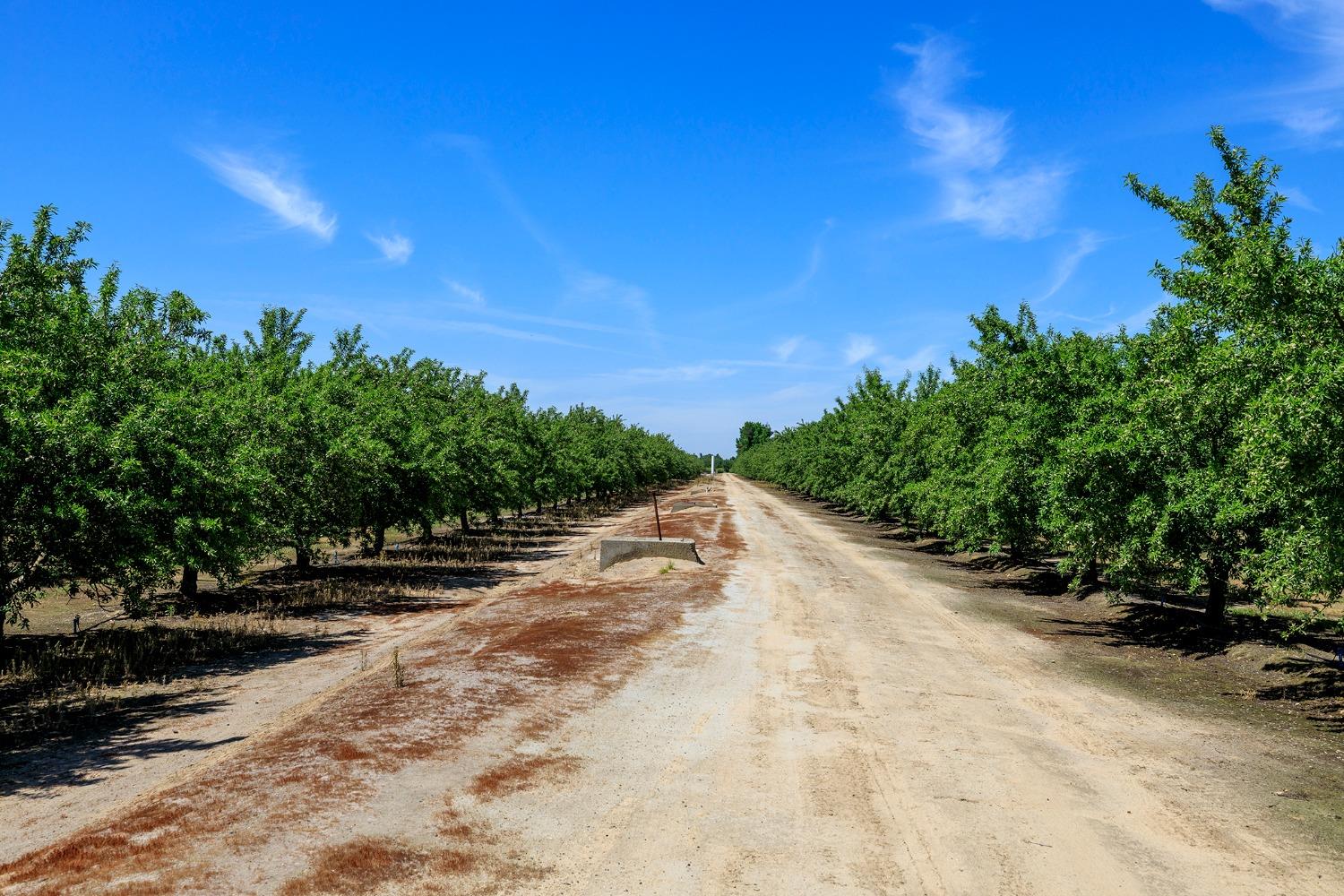 S Gratton Road, Denair, California image 10