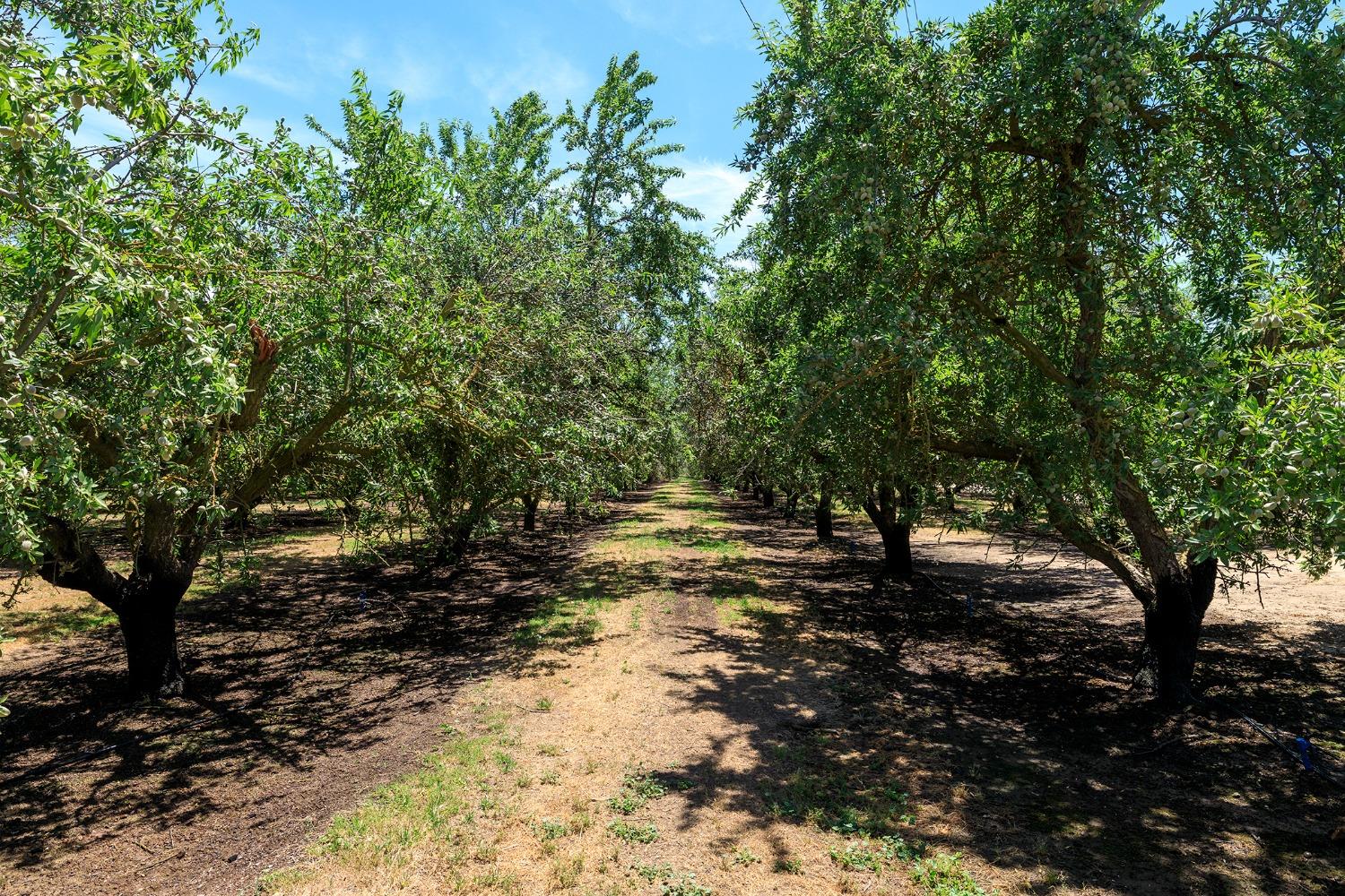 AC Lake Road, Hickman, California image 6