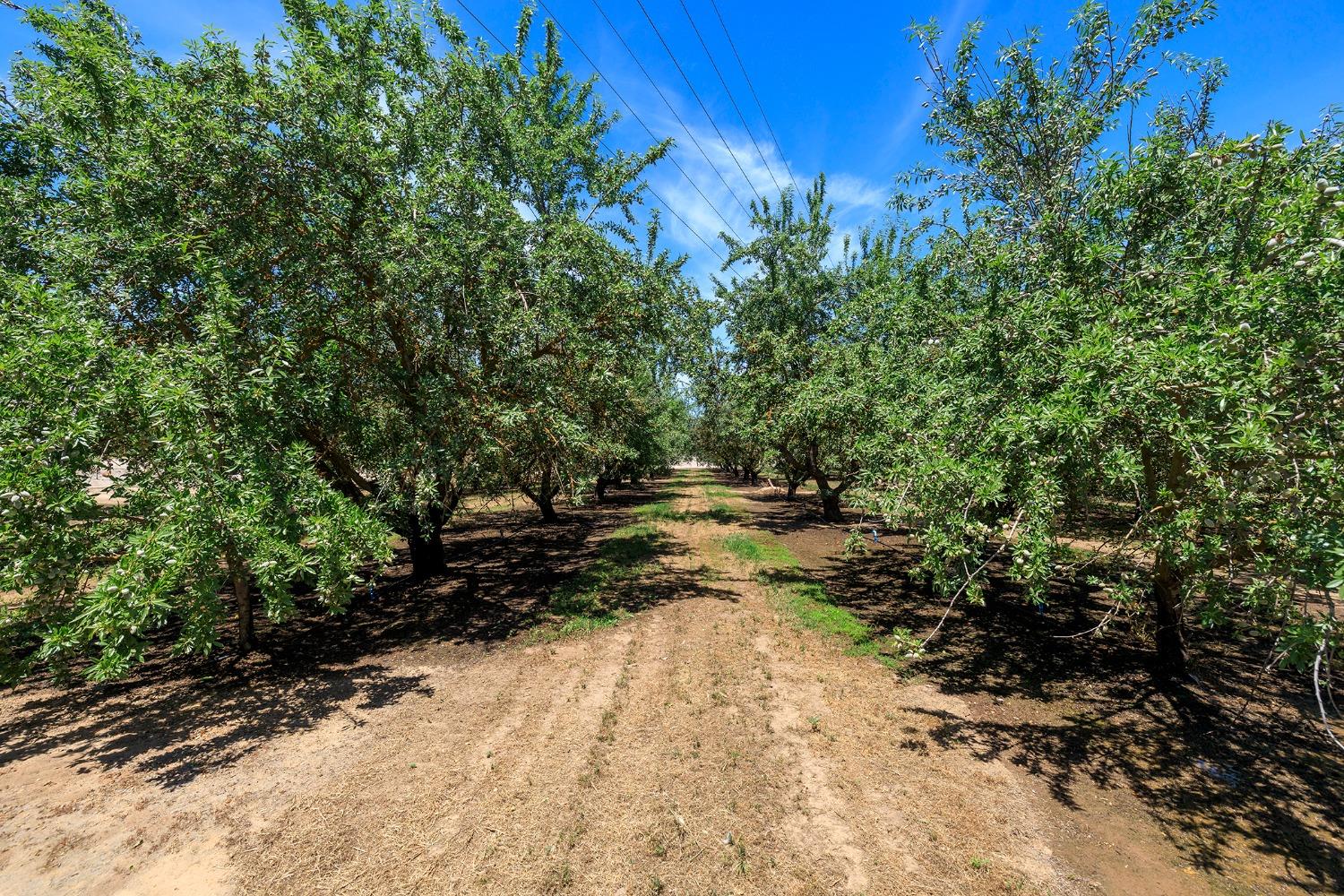 AC Lake Road, Hickman, California image 3