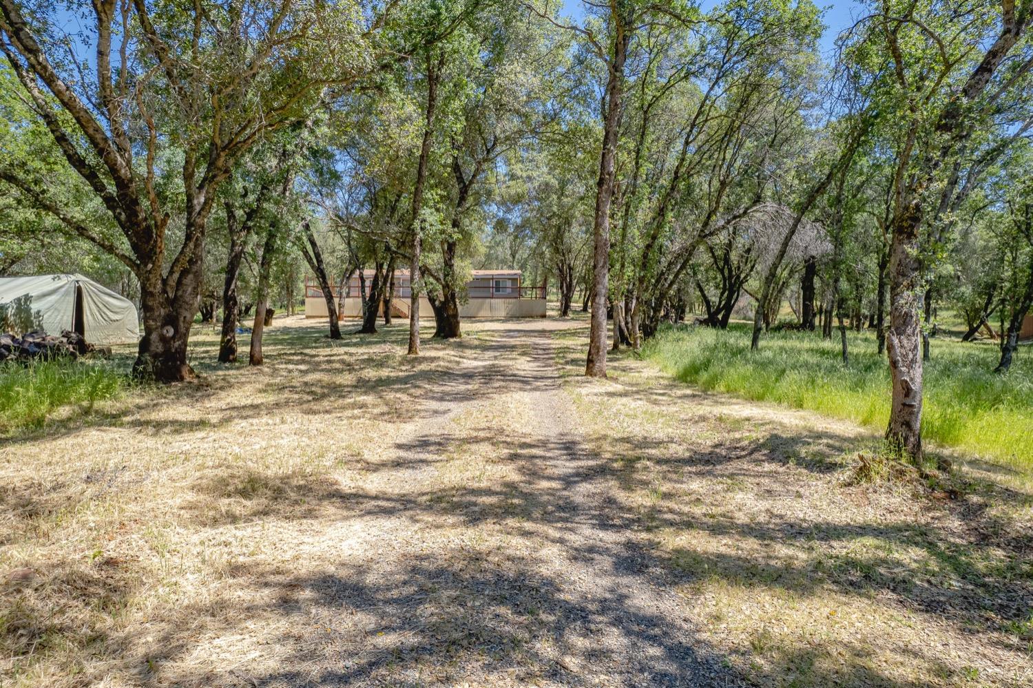 Pony Express Trail, Browns Valley, California image 18