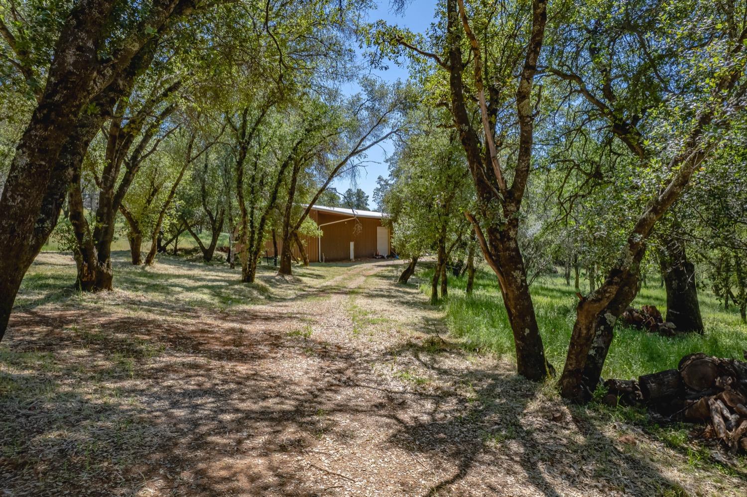 Pony Express Trail, Browns Valley, California image 45