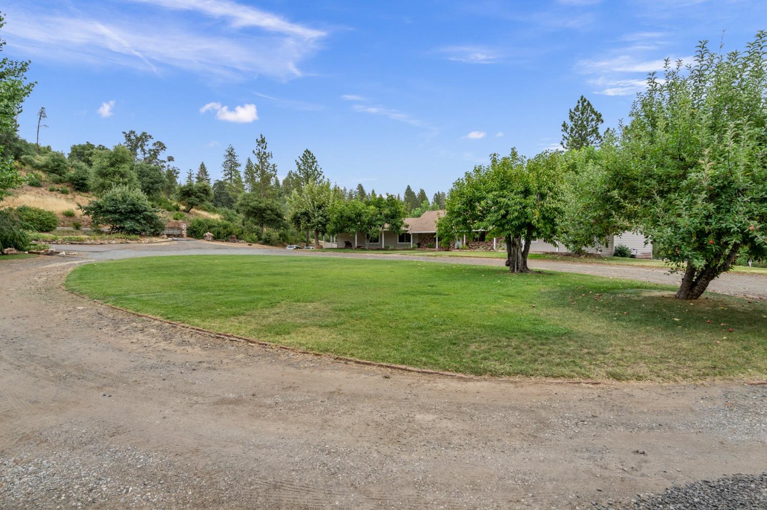 Harper Road, Groveland, California image 10