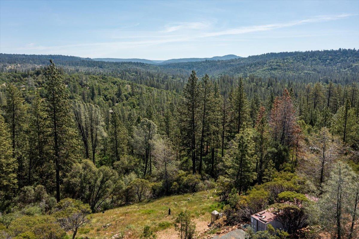 Brannon Court, Nevada City, California image 6