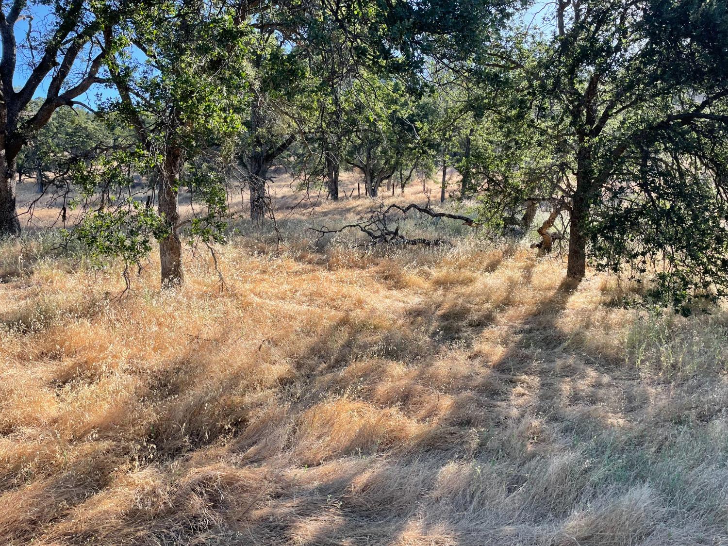 Castillo Way, La Grange, California image 3