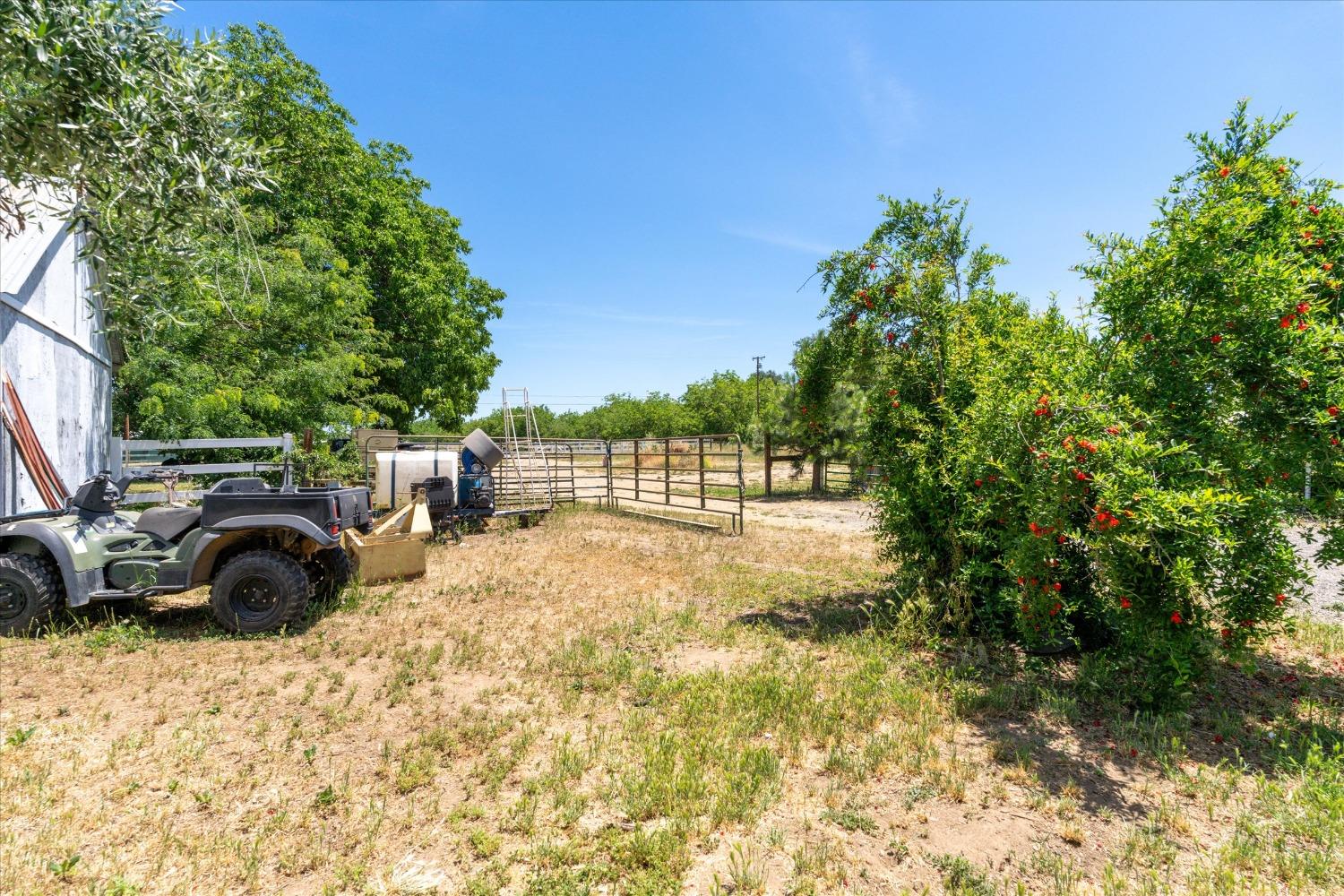 Detail Gallery Image 32 of 70 For 1367 Richins Ave, Gridley,  CA 95948 - 3 Beds | 1 Baths