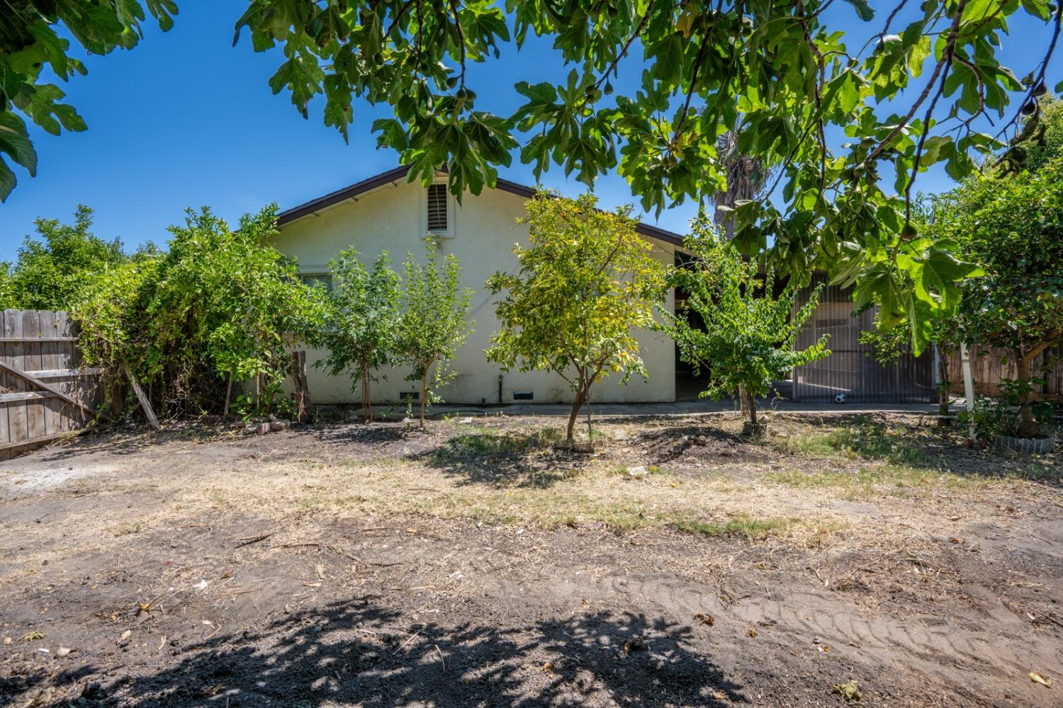 Oak, Dos Palos, California image 8