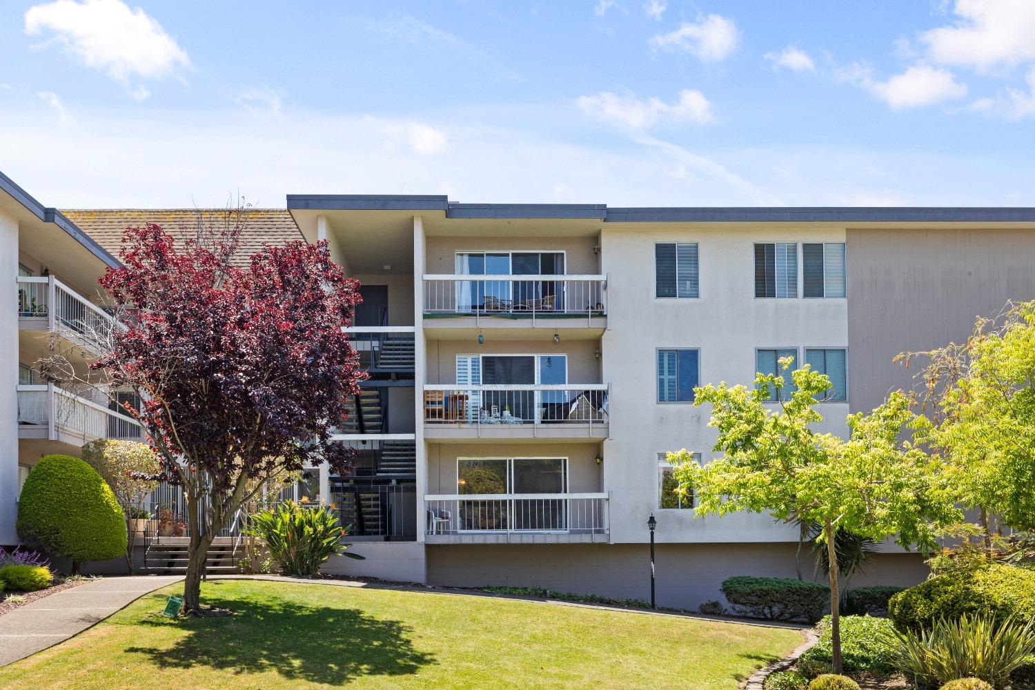 Shorepoint Court #109, Alameda, California image 2