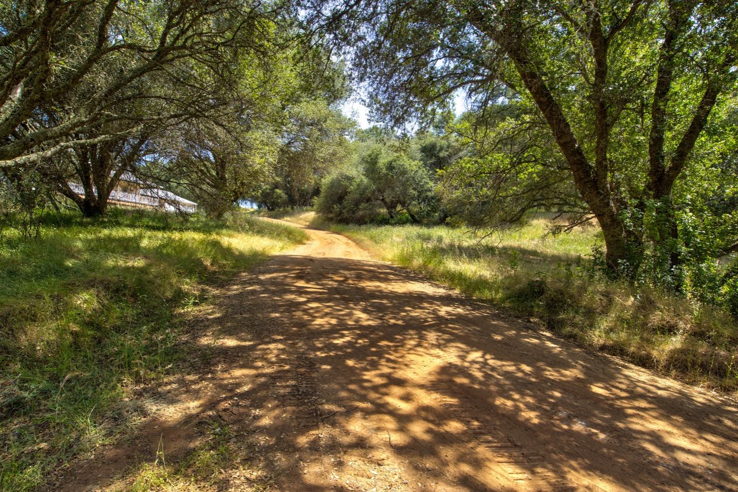 Detail Gallery Image 55 of 78 For 18200 Quartz Mountain Rd, Fiddletown,  CA 95629 - 4 Beds | 2/2 Baths