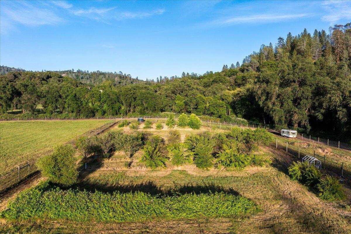 Detail Gallery Image 31 of 47 For 12841 Elster Place, Grass Valley,  CA 95949 - 1 Beds | 2 Baths