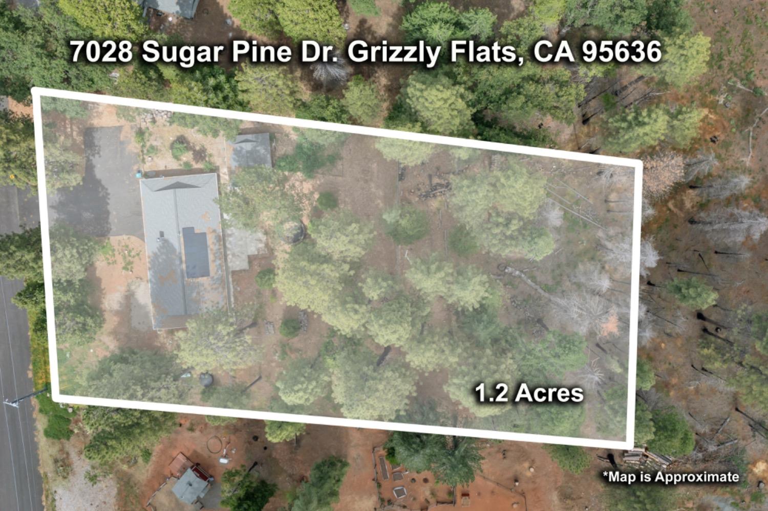 Sugar Pine Drive, Grizzly Flats, California image 38