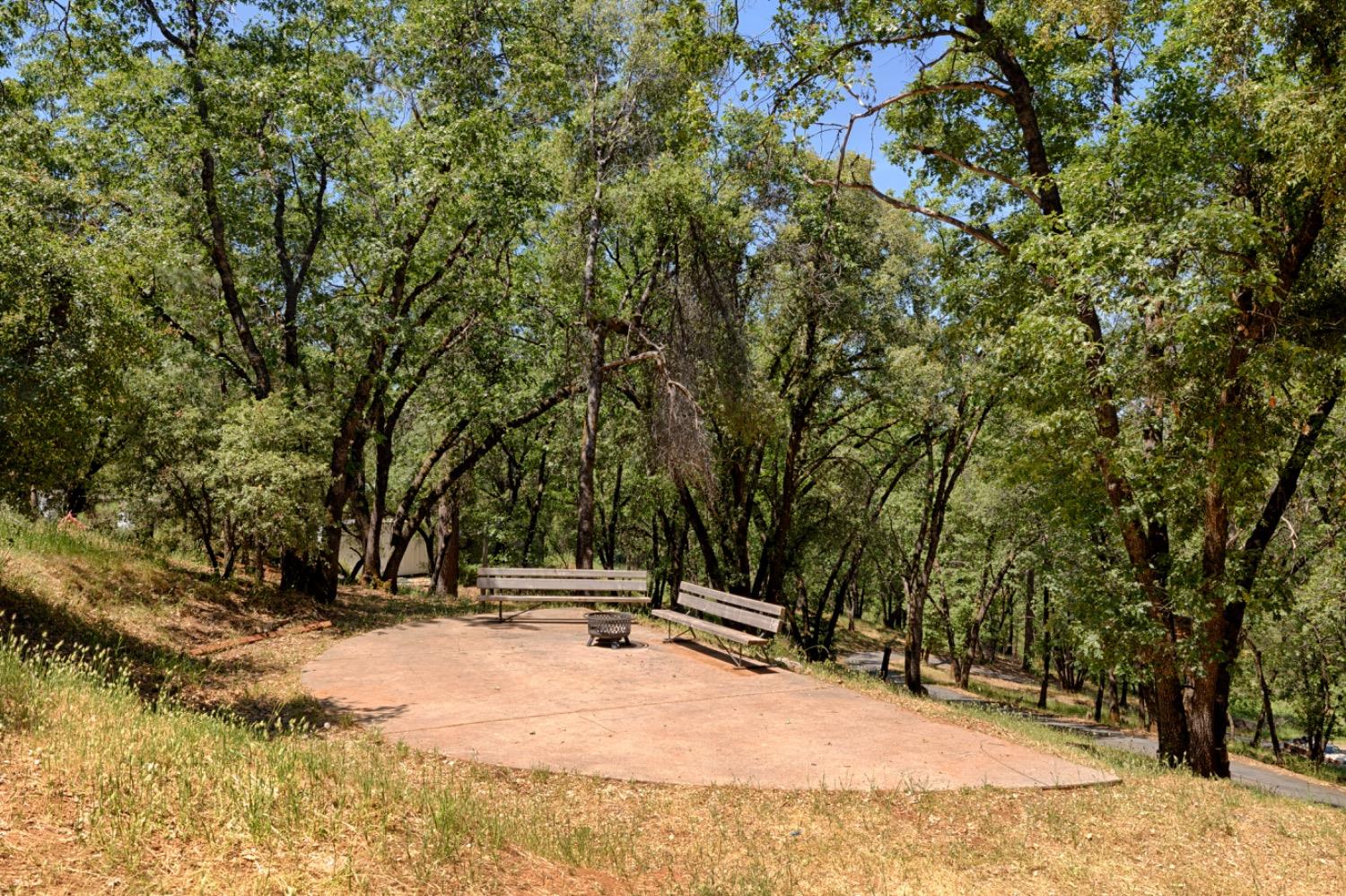 Detail Gallery Image 40 of 44 For 19650 Placer Hills Rd, Colfax,  CA 95713 - 3 Beds | 2 Baths