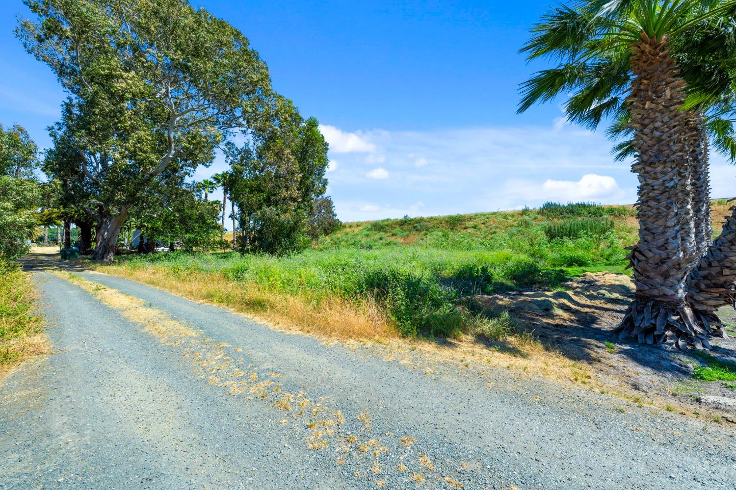 Brannan Isle Road, Isleton, California image 9