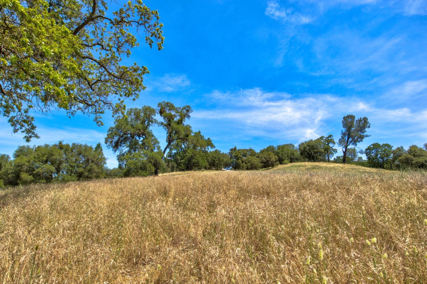 Detail Gallery Image 51 of 78 For 18200 Quartz Mountain Rd, Fiddletown,  CA 95629 - 4 Beds | 2/2 Baths