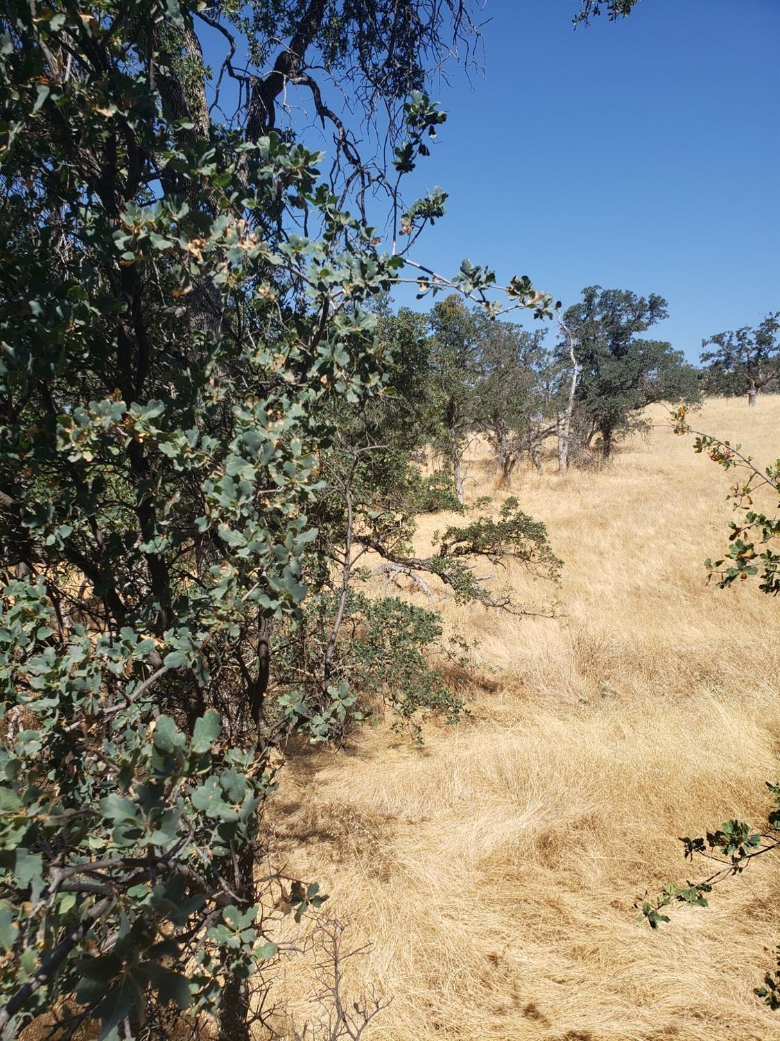 Jara Court, La Grange, California image 9