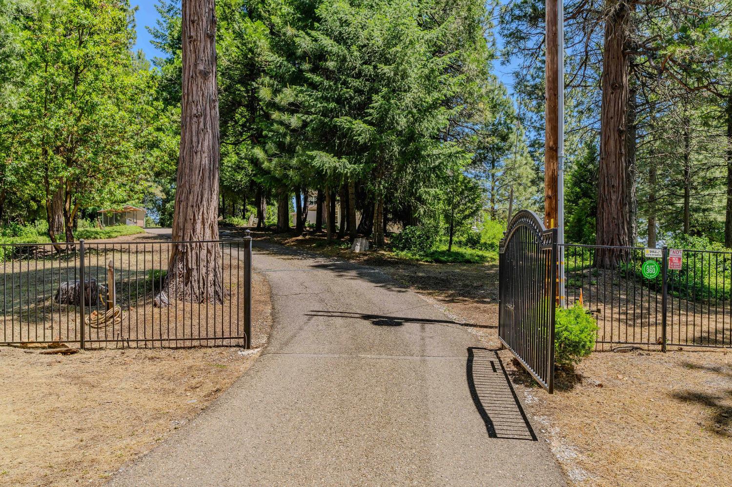 Timberlin Drive, Pioneer, California image 3