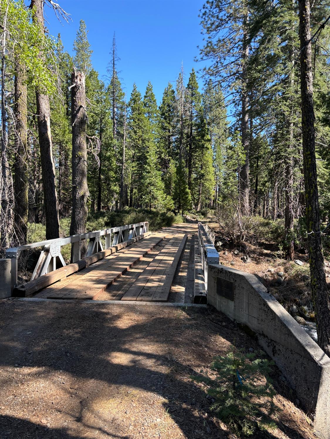 North Fork Place, Emigrant Gap, California image 20