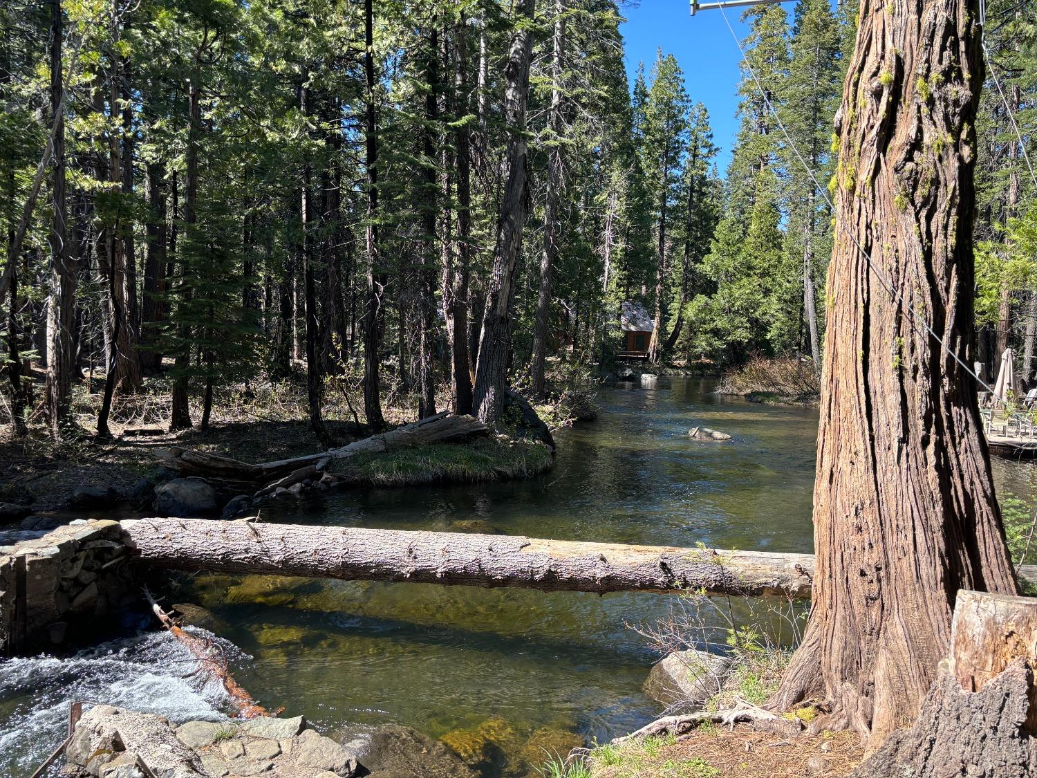 North Fork Place, Emigrant Gap, California image 17