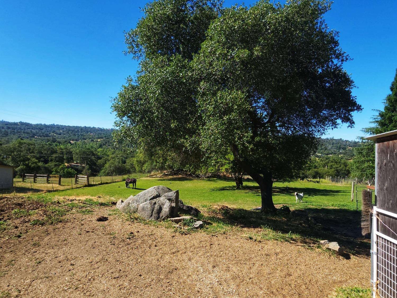 Old Cypress Lane, Auburn, California image 28