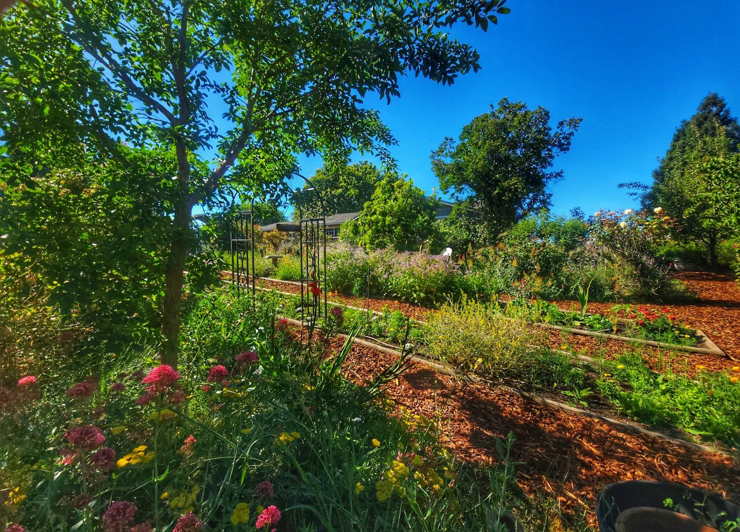 Old Cypress Lane, Auburn, California image 34